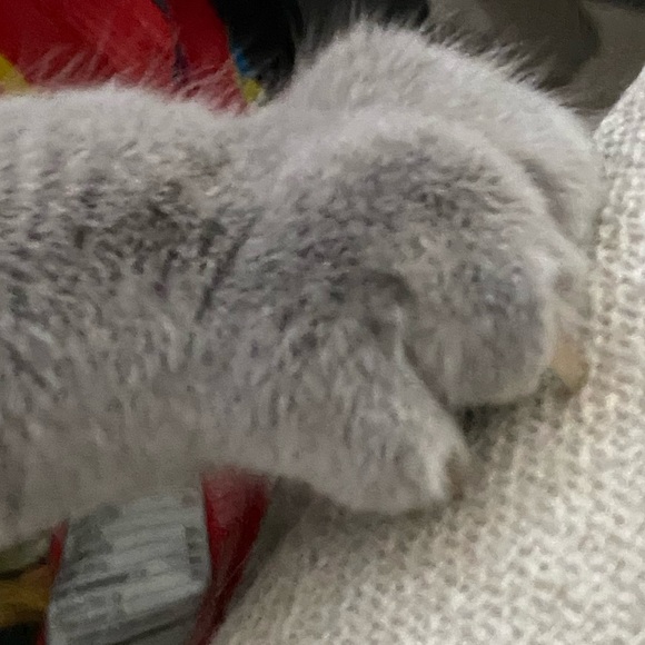 Meet your Posher, Ashley - Picture 1 of 1